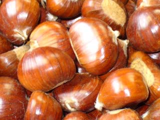 Castagne