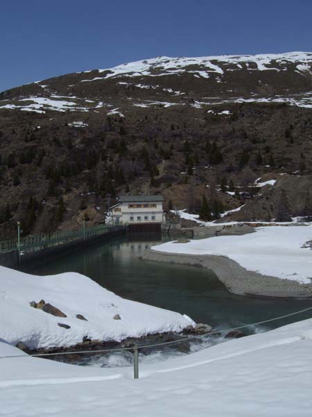 IMGP3397