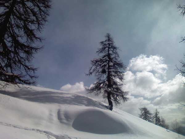 P14-02-09_12.00