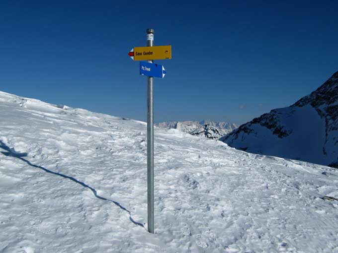 piz_trovat
