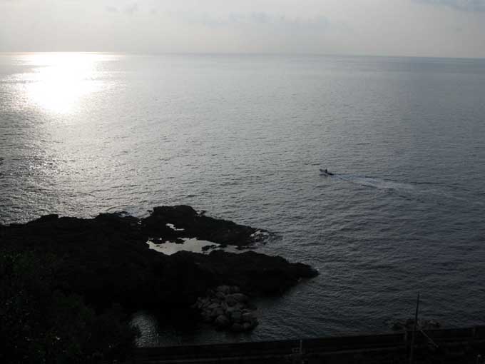 mare