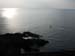 mare