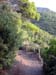 trekking